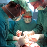 Operatii impreuna cu o echipa de chirurgi din Belgrad si participarea la Congresul Sud - Est European al Asociatiei Europene de Urologie